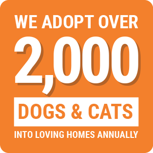 we adopt over 2,000 dogs and cats