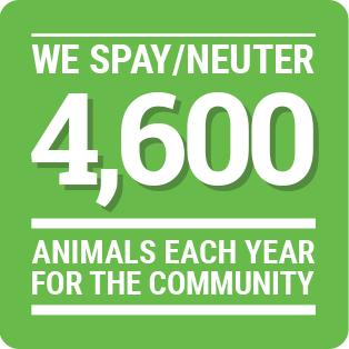 we spay/neuter 4,600 animals