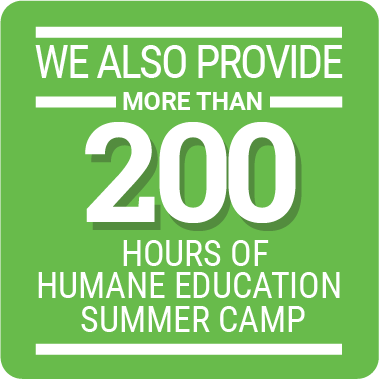 we provide more than 200 hours humane education summer camp