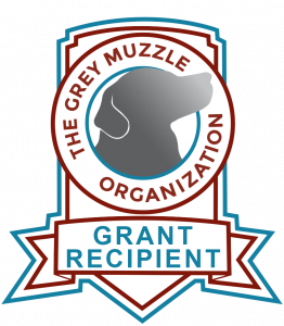 The grey muzzle organization