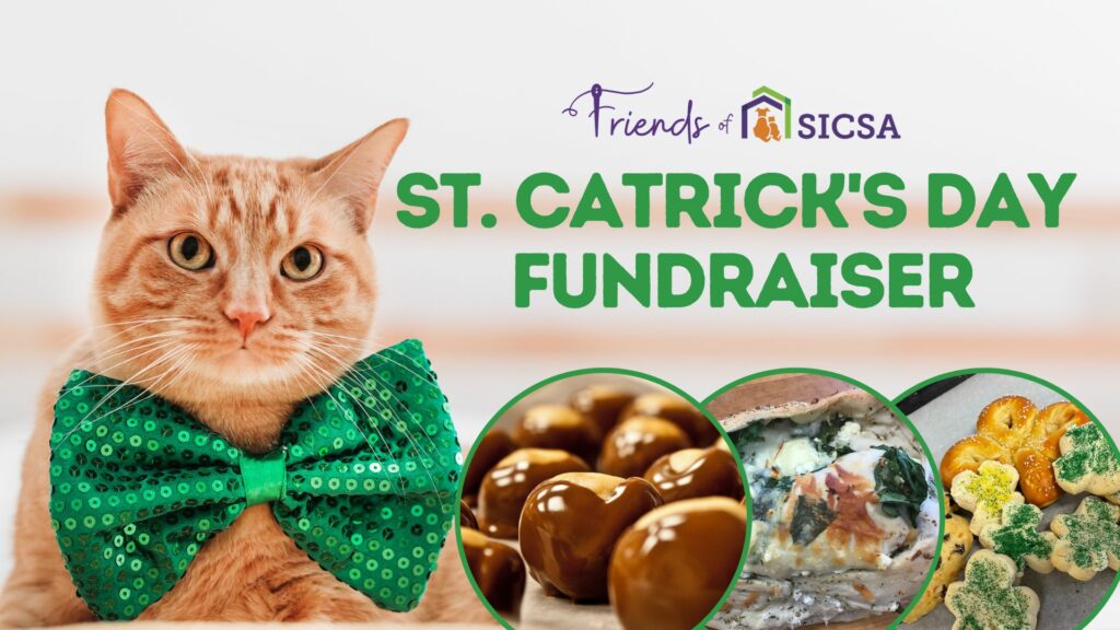 st catrick's day event header